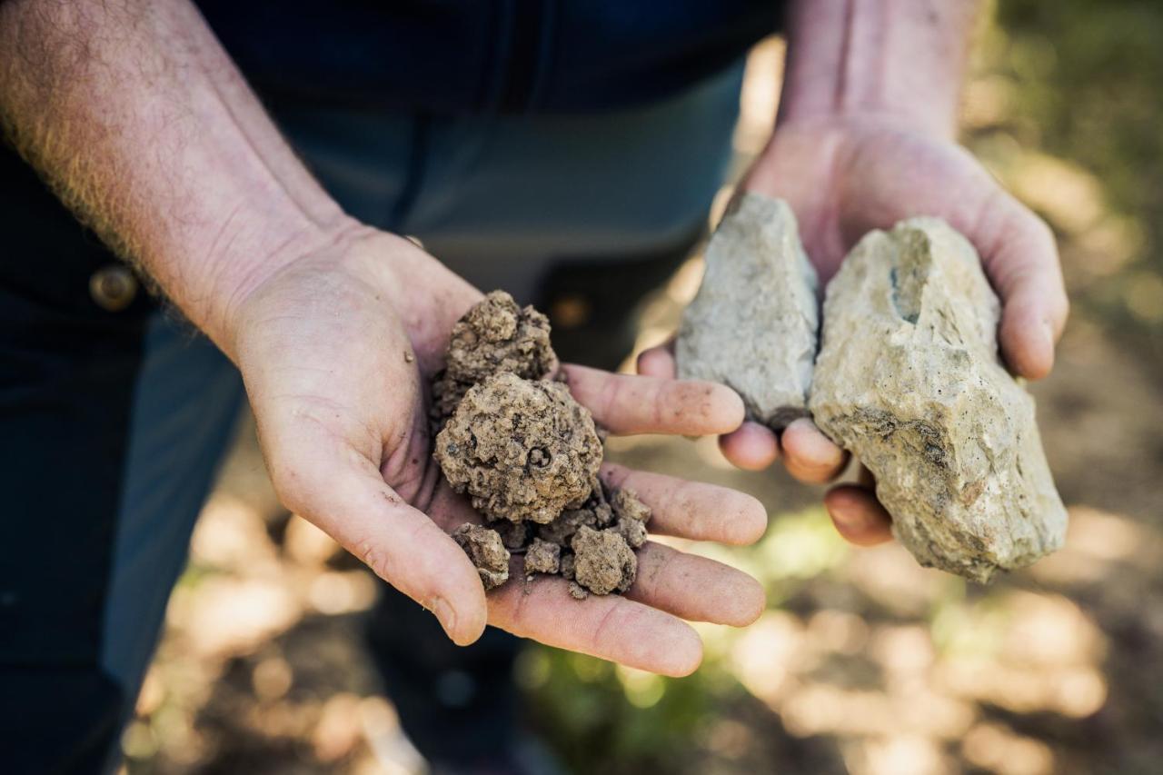 Weingut Und Gaestehaus Apel Nittel Εξωτερικό φωτογραφία