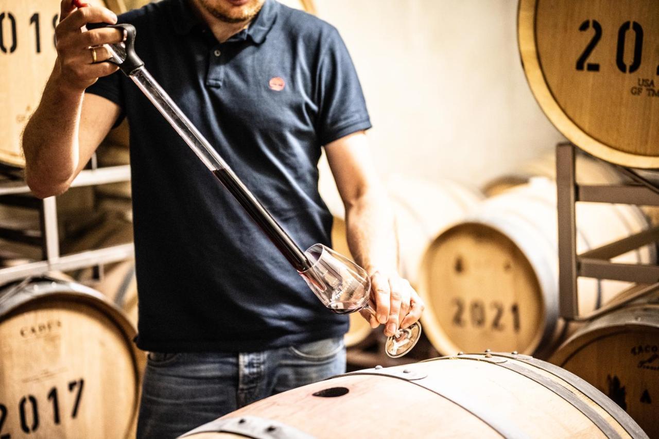 Weingut Und Gaestehaus Apel Nittel Εξωτερικό φωτογραφία